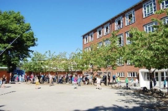 Skolegård